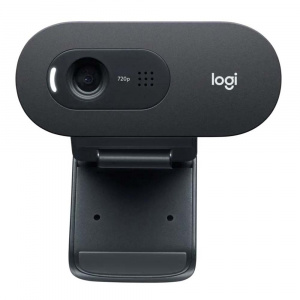 Webcam Logitech C505e HD 